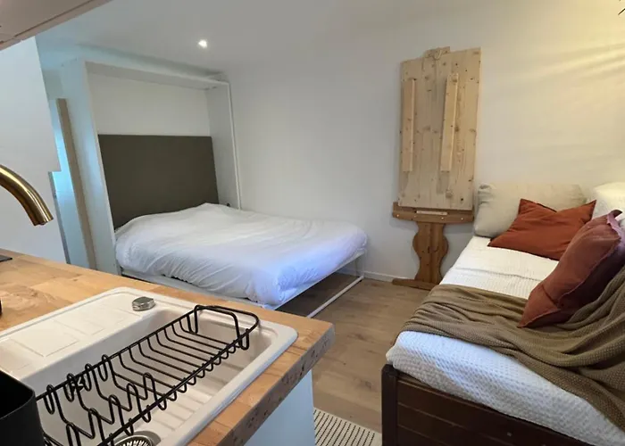 Studio Aime Pratique Et Bien Place La Plagne Foto